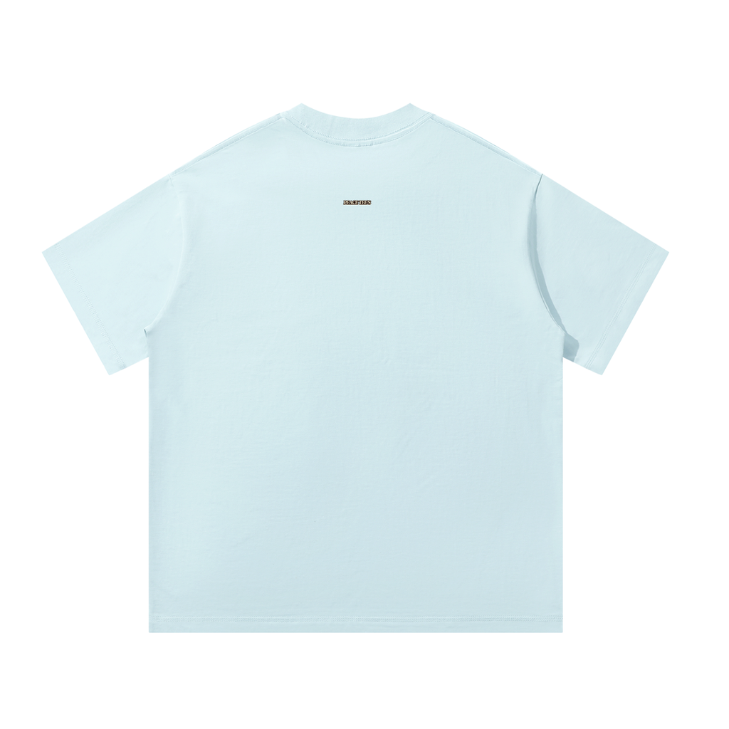 POUR DECISIONS TOUR T-SHIRT