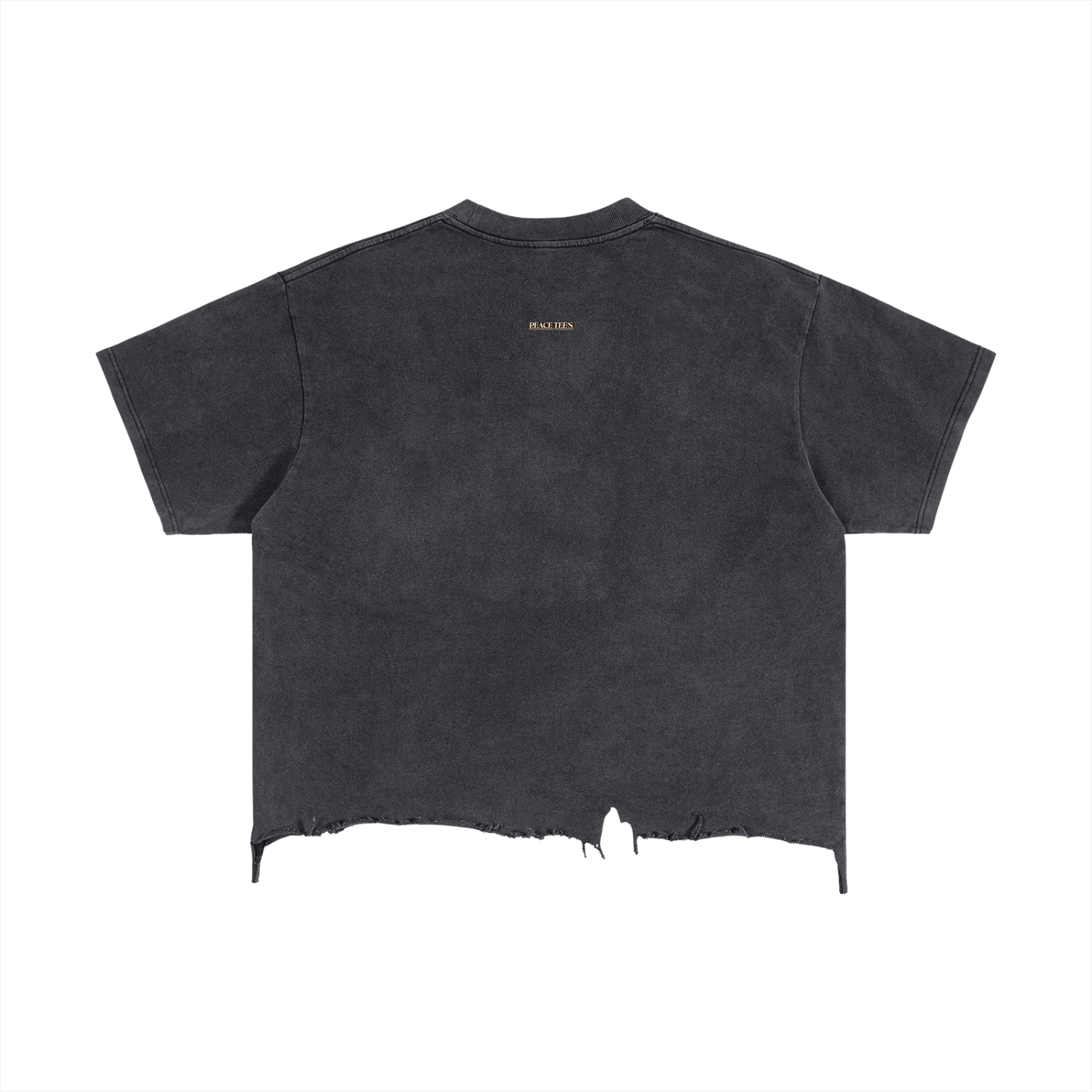 EPCOT-METAL DISTRESSED T-SHIRT